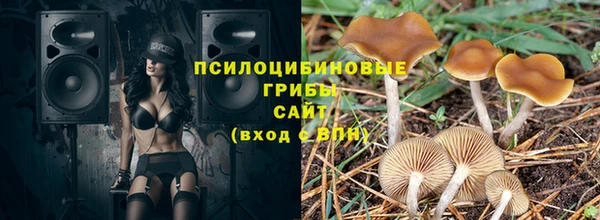 прущая мука Протвино