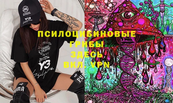 стаф Абаза