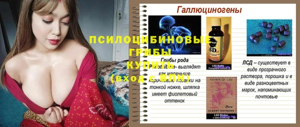 амф Абинск