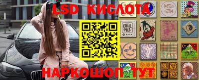 PSILOCYBIN Гатчина