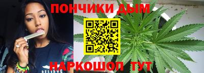 PSILOCYBIN Гатчина