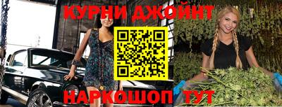 PSILOCYBIN Гатчина
