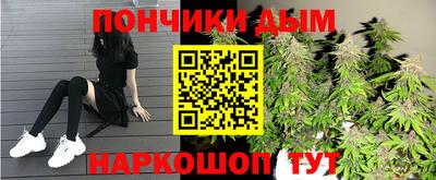гидропоника Гусиноозёрск