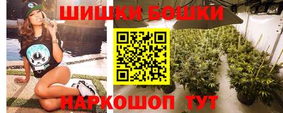 индика Обь