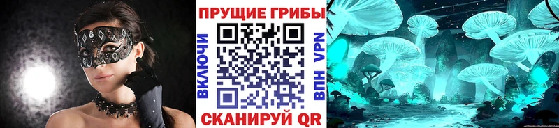 Псилоцибиновые грибы MAGIC MUSHROOMS  Краснодар 