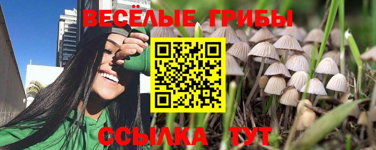 Псилоцибиновые грибы Psilocybine cubensis  Вход с VPN  купить закладку  Краснодар 